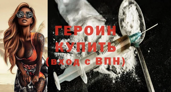 соль ск Тайга